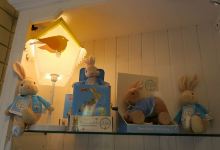 Teddy Sinclair购物图片