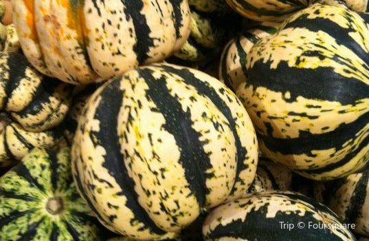 Schoharie Valley Farms The Carrot Barn Travel Guidebook Must