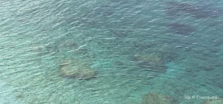 Spiaggia Di Sansone Tickets Deals Reviews Family