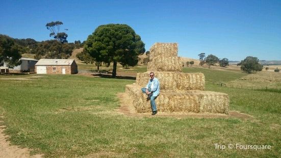 Gomersal Wines