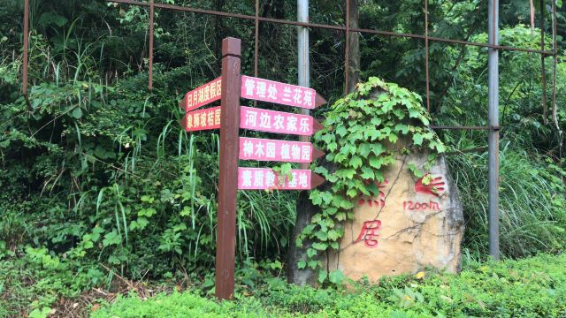 侗文化城旅行图片 1
