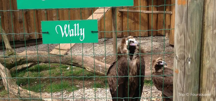 Naturwildpark Freisen Travel Guidebook Must Visit Attractions In