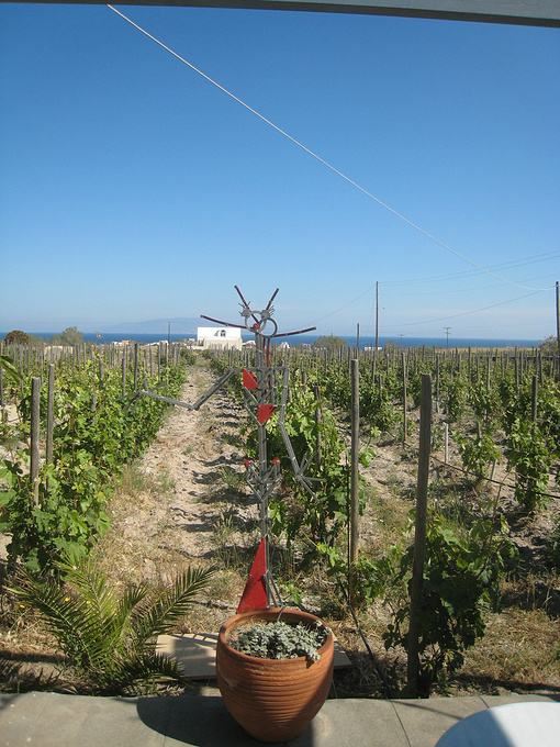 Santo Wines Winery