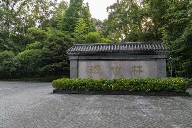 의희반죽림