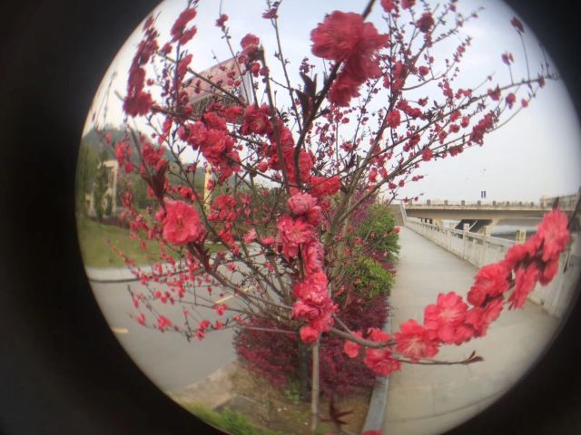 龙王庙国家湿地公园旅行图片 2
