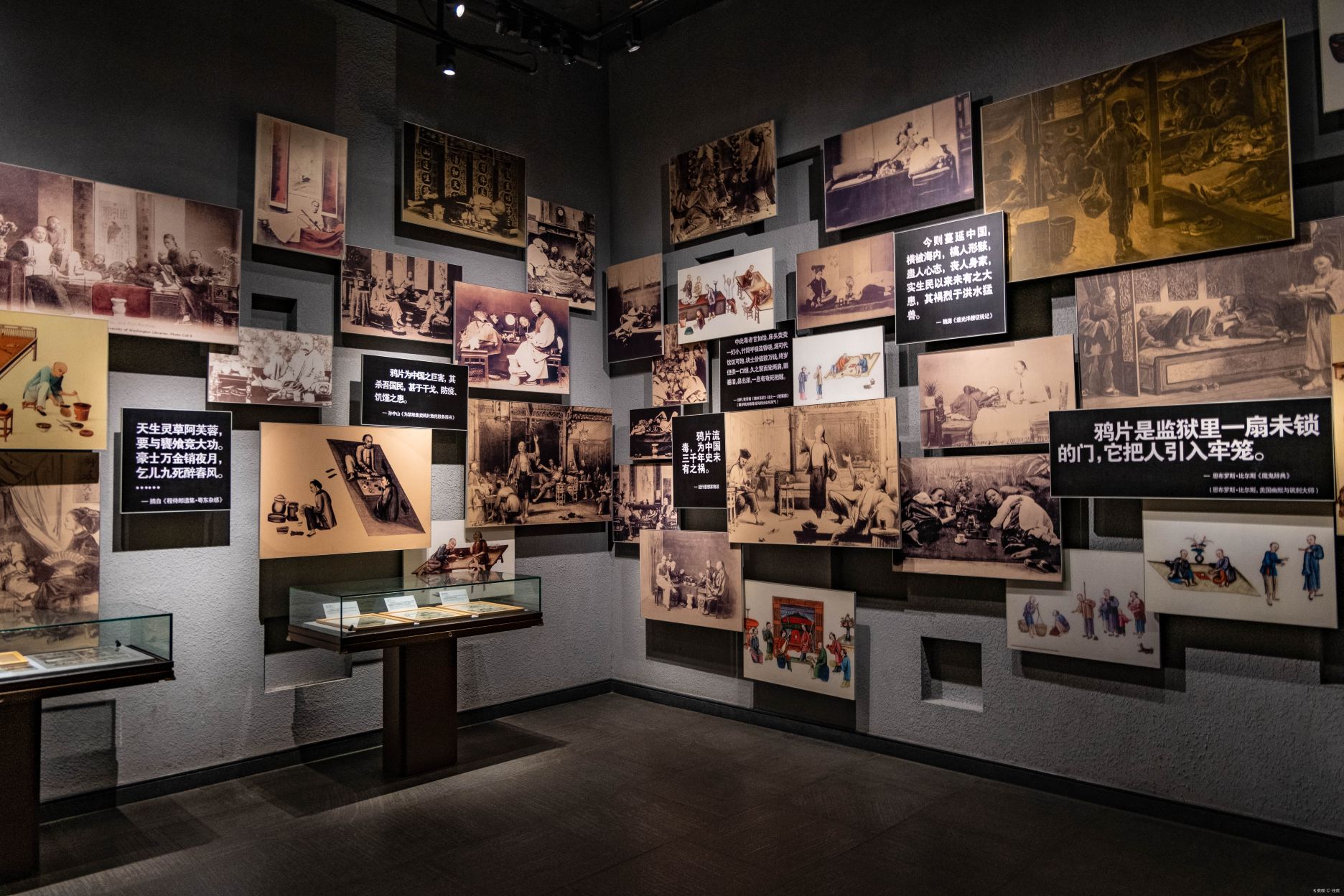 Gallery 3
