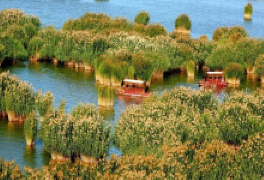 沙湖晓兰渔家汉餐(沙湖总店)美食图片