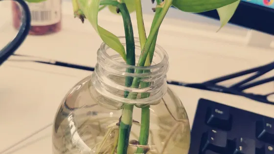 浦東凌空農藝大觀園