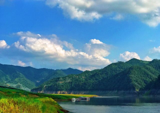 振江镇绿江村景点旅行图片 1