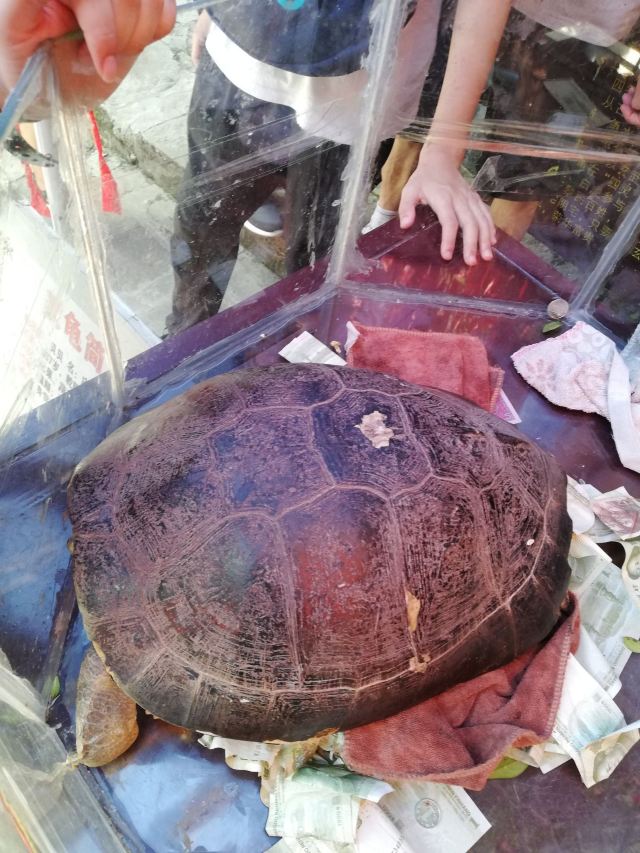 天后宮