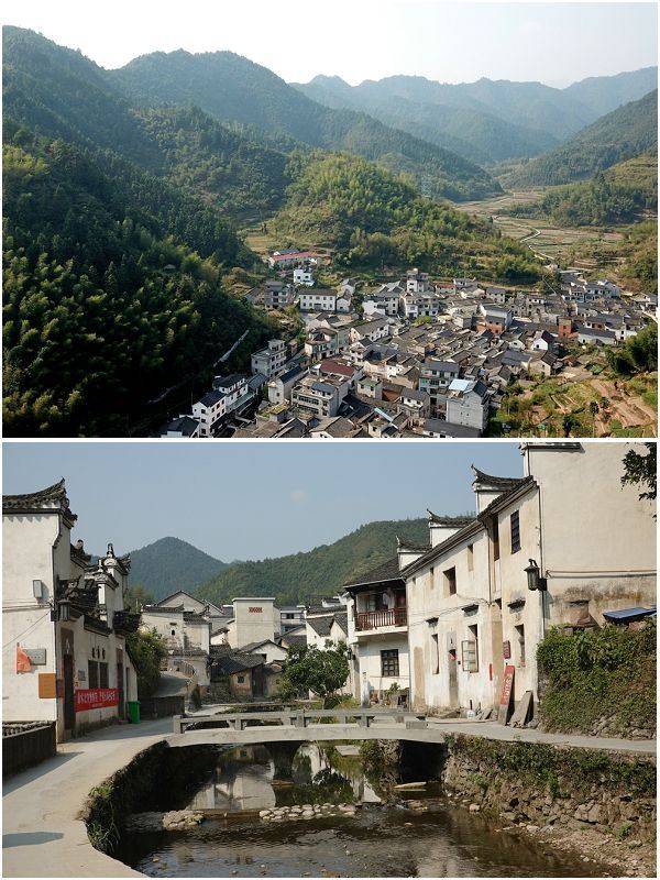 芹川村