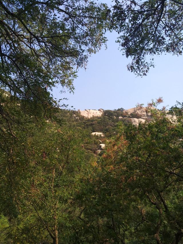 牛毛山公园旅行图片 2