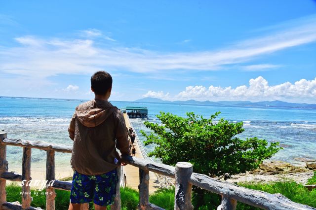 西島