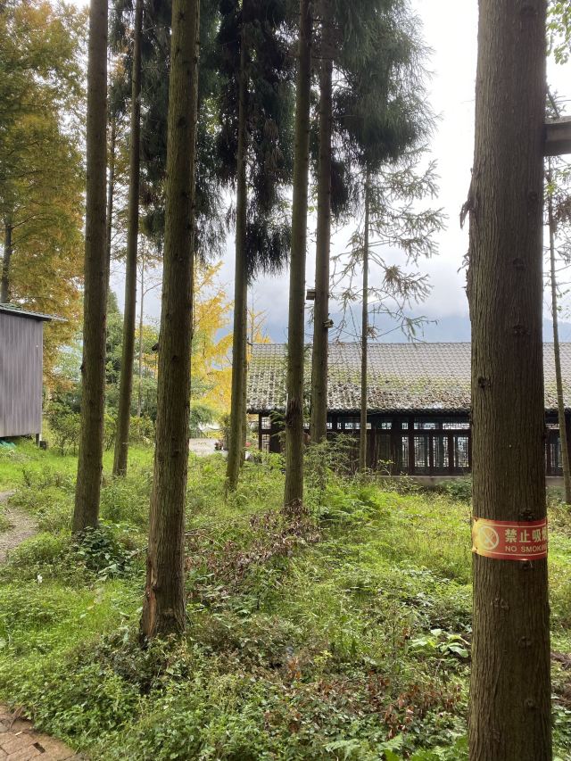 川西红枫岭旅行图片 2