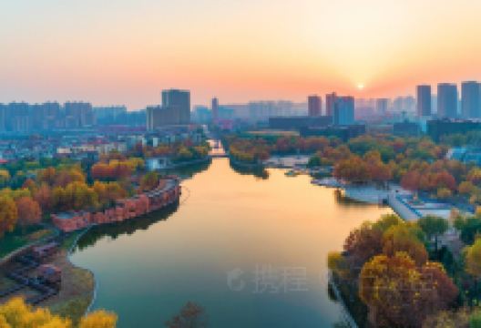世纪公园景点图片