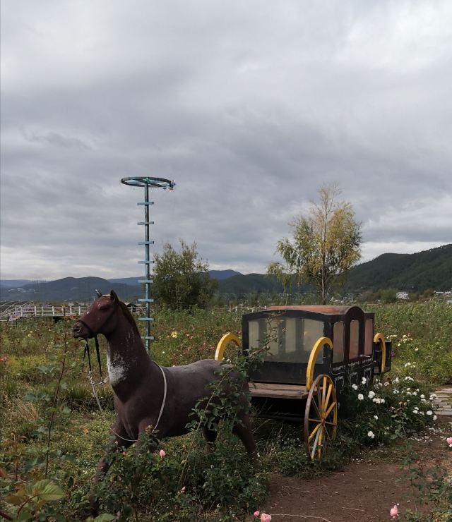 丽江花花色玫瑰庄园旅行图片 1