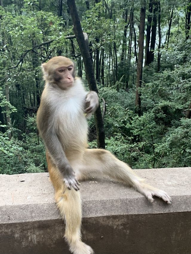 云贵山山头公园旅行图片 1