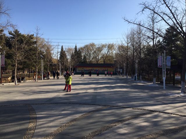 兴隆公园旅行图片 3