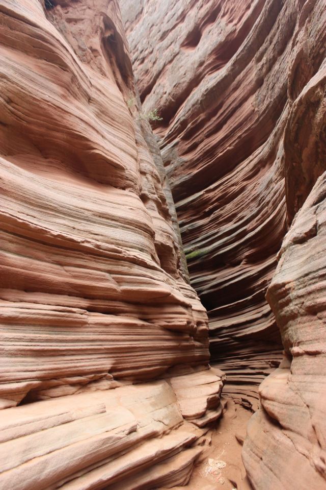 丹霞地貌时光岩风景区旅行图片 1