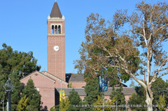 Los Angeles游记图片] 第848回：洛杉矶南加州大学，环太平洋大学联盟