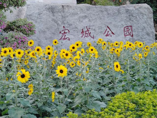 Hongcheng Park (East Gate)