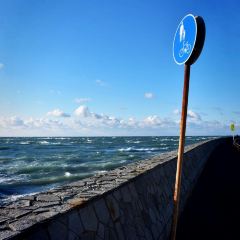 Omaezaki Lighthouse Travel Guidebook Must Visit Attractions In Omaezaki Omaezaki Lighthouse Nearby Recommendation Trip Com