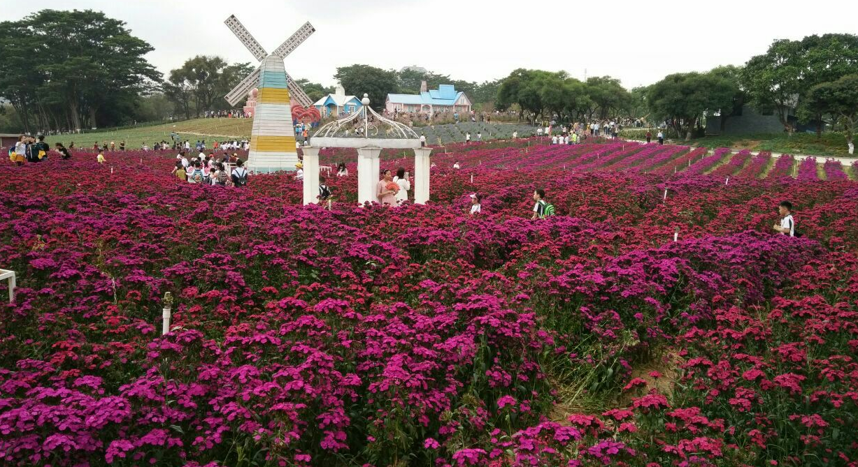 百花洲