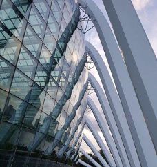 云雾林-新加坡-超级ctt