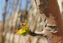 一笑堂(龙河盛都店)购物图片