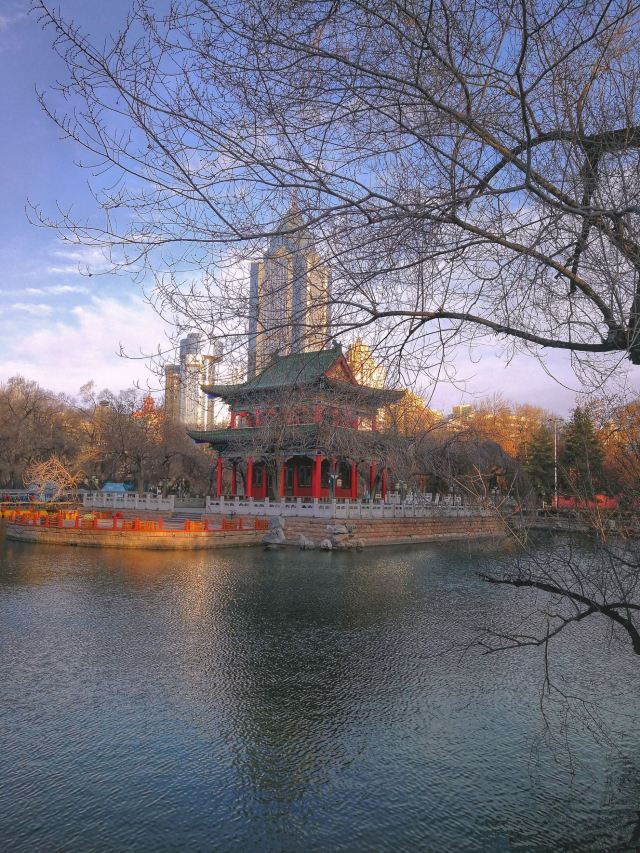 人民公园旅行图片 1