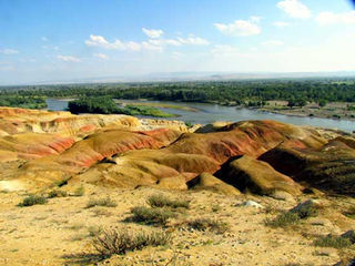 新疆旅游：观赏五彩滩与原始胡杨林（图）