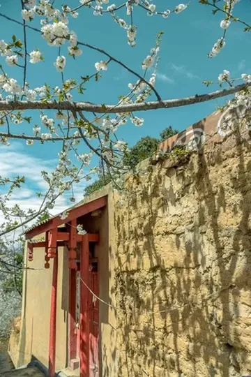 春色无限好,安逸游汶川!