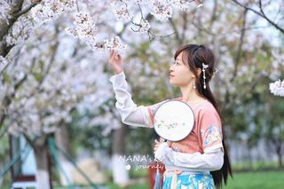 春风十里，来盐城大洋湾看你