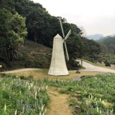 二龙山旅游风景区-宾县--自由飞翔_