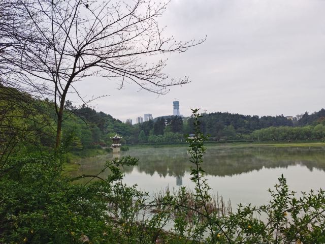 长坡岭国家森林公园旅行图片 9