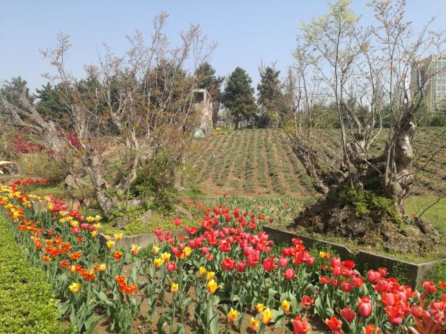 航天城中湖公园旅行图片 9