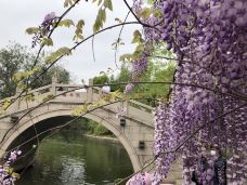 杨浦公园-上海-城中漫步