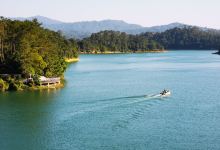 流溪河国家森林公园景点图片