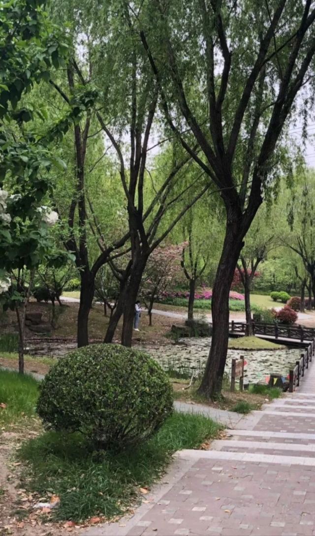漕河泾开发区科创公园旅行图片 3