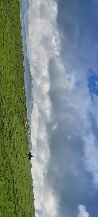 除了大熊猫,阿坝州还有多少“神奇宝贝”?