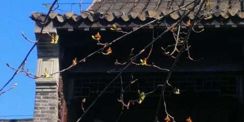 蘇皖邊區政府舊址