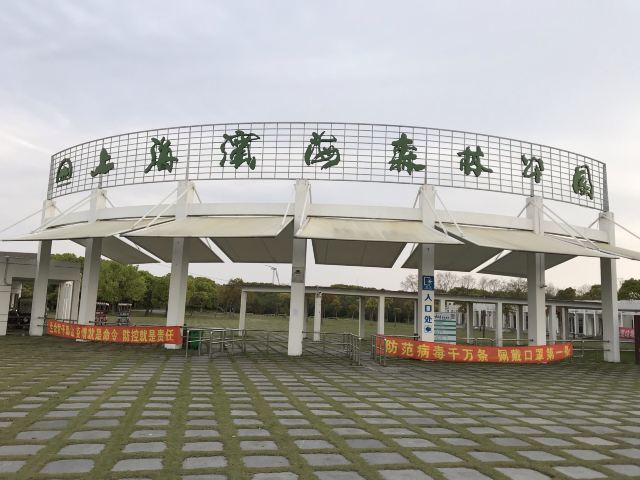 上海滨海森林公园旅行图片 1