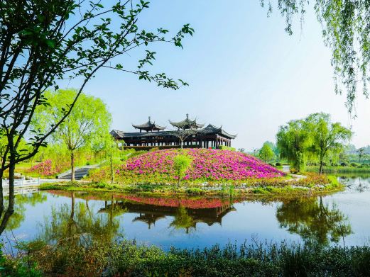 扬州芍药园