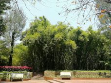 晓港公园-广州-kiki锦鲤