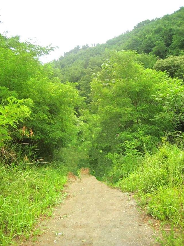 黄巢堡土地庙旅行图片 3