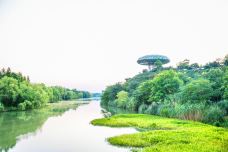 中国湿地博物馆-杭州-doris圈圈
