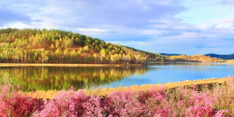 達爾濱湖國家森林公園