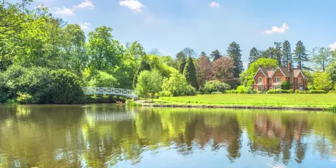 弗吉尼亞湖小鎮