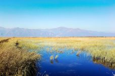 野鸭湖国家湿地公园-北京-尊敬的会员