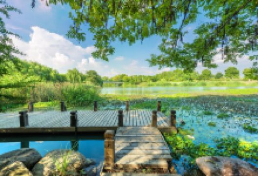 九里河湿地公园景点图片